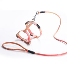 Load image into Gallery viewer, Adjustable Pet Cat Gradual Color Changing Traction Rope Set Small Dog Leash Dog I-shaped Chest Harness For Small Medium Dog French Bulldog Pug Bulldog