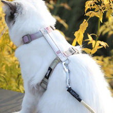 Load image into Gallery viewer, Adjustable Pet Cat Gradual Color Changing Traction Rope Set Small Dog Leash Dog I-shaped Chest Harness For Small Medium Dog French Bulldog Pug Bulldog