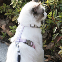 Load image into Gallery viewer, Adjustable Pet Cat Gradual Color Changing Traction Rope Set Small Dog Leash Dog I-shaped Chest Harness For Small Medium Dog French Bulldog Pug Bulldog