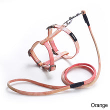 Load image into Gallery viewer, Adjustable Pet Cat Gradual Color Changing Traction Rope Set Small Dog Leash Dog I-shaped Chest Harness For Small Medium Dog French Bulldog Pug Bulldog