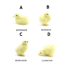 Load image into Gallery viewer, Simulation Chick Plush Toy Children Cognition Chicken Model Figurine Realistic Furry Animal Doll Chicken Easter Gift Kids
