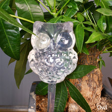 Load image into Gallery viewer, PVC Self Watering Devices Automatic Watering Spike Plants Flowers Bottle Drip Irrigation Bird Star Heart Water Feeder for Indoor Garden