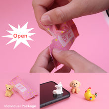 Load image into Gallery viewer, 5PCS Mini Simulation Animal Blind Box Cute Resin Ornaments Surprise Figures Toy Fake Candy Guess Blind Bag For Kids Gifts