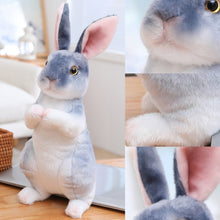 Load image into Gallery viewer, Realistic Cute White Plush Rabbits Lifelike Animal Photo Props Bunny Simulation Rabbit Toy Model Birthday Gift