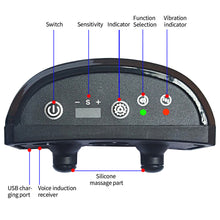 Load image into Gallery viewer, Electric Ultrasonic Pet Dog Anti Barking Device USB Charging Dogs Training Collar Dog Stop Barking Vibration Anti Bark Collar Waterproof