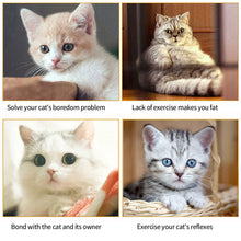 Load image into Gallery viewer, Interactive Cat Toy Hanging Clip Plush Simulation Mouse Retractable Door Hanging Elastic Funny Cats Stick Teaser Toys Pet Supplies