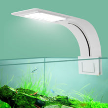 Load image into Gallery viewer, LED Aquarium Fish Tank Light Clip-on 5W/10W/15W LED Plants Grow Lights Aquatic Freshwater Aquarium Lamps Waterproof 220V EU Plug