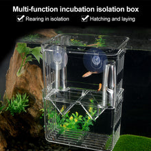 Load image into Gallery viewer, Double-Deck Clear Fish Breeding Isolation Box Aquarium Breeder Fish Tank Hatching Incubator Fish House Home