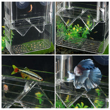Load image into Gallery viewer, Double-Deck Clear Fish Breeding Isolation Box Aquarium Breeder Fish Tank Hatching Incubator Fish House Home