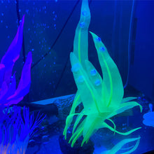 Load image into Gallery viewer, 18-25cm Aquarium Decoration Plants Simulation Artificial Water Grass Fish Tank Decor Silicone Kelp Ornament Aquarium Accessories
