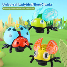 Load image into Gallery viewer, Simulated Cartoon Insect Cat Toy Parent-child Interaction Simulation Beetle Ladybug Bee with Light and Music Gift for Kids