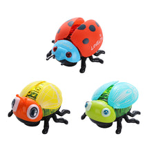Load image into Gallery viewer, Simulated Cartoon Insect Cat Toy Parent-child Interaction Simulation Beetle Ladybug Bee with Light and Music Gift for Kids