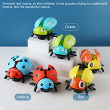 Load image into Gallery viewer, Simulated Cartoon Insect Cat Toy Parent-child Interaction Simulation Beetle Ladybug Bee with Light and Music Gift for Kids