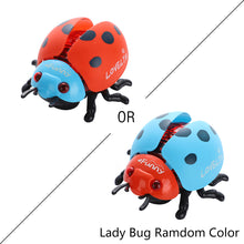 Load image into Gallery viewer, Simulated Cartoon Insect Cat Toy Parent-child Interaction Simulation Beetle Ladybug Bee with Light and Music Gift for Kids