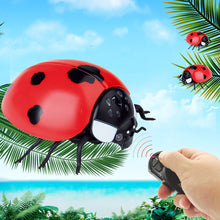 Load image into Gallery viewer, Infrared Remote Control Cat Toys Simulated Ladybug Electric Interactive Ladybeetle Toy Pet Entertainment Accessories
