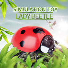 Load image into Gallery viewer, Infrared Remote Control Cat Toys Simulated Ladybug Electric Interactive Ladybeetle Toy Pet Entertainment Accessories