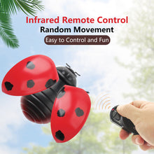 Load image into Gallery viewer, Infrared Remote Control Cat Toys Simulated Ladybug Electric Interactive Ladybeetle Toy Pet Entertainment Accessories