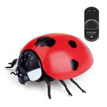 Load image into Gallery viewer, Infrared Remote Control Cat Toys Simulated Ladybug Electric Interactive Ladybeetle Toy Pet Entertainment Accessories