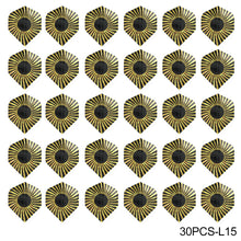 Load image into Gallery viewer, 30PCS PET Darts Flights Dart Feather Outdoor Wing Tail Mixed Pattern