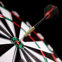 Load image into Gallery viewer, 30PCS PET Darts Flights Dart Feather Outdoor Wing Tail Mixed Pattern