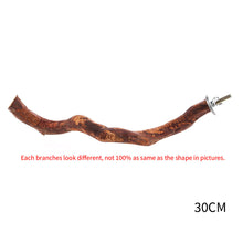 Load image into Gallery viewer, Natural Wood Pet Parrot Raw Wood Fork Branch Perches Stand Rack Mouth Grinding Claw Grinding Stick For Birds Squirrel Small Pet Supplies
