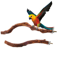 Load image into Gallery viewer, Natural Wood Pet Parrot Raw Wood Fork Branch Perches Stand Rack Mouth Grinding Claw Grinding Stick For Birds Squirrel Small Pet Supplies