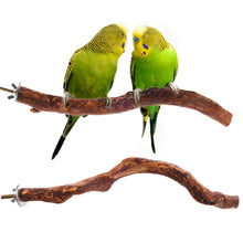 Load image into Gallery viewer, Natural Wood Pet Parrot Raw Wood Fork Branch Perches Stand Rack Mouth Grinding Claw Grinding Stick For Birds Squirrel Small Pet Supplies