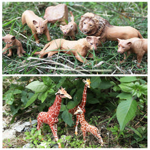 Load image into Gallery viewer, Simulation Forest Animal Garden African Lion Black Tiger Tiger Koala Deer Elephant Model Collectible Model