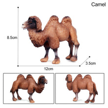 Load image into Gallery viewer, Simulation Forest Animal Garden African Lion Black Tiger Tiger Koala Deer Elephant Model Collectible Model