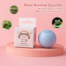 Load image into Gallery viewer, Cat Catching Toy Rolling Ball Toy with Sound&Light Pet Music Ball Toy Kitten Interactive Training Toys