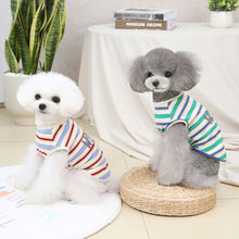 Load image into Gallery viewer, Pet Bear Printed Hoodie Coat Winter Warm Pet Clothes for Chihuahua Shih Tzu Sweatshirt Puppy Cat Pullover Dogs Pets Clothing