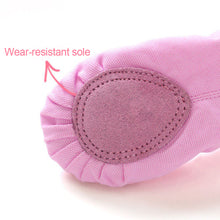 Load image into Gallery viewer, Children Practise Ballerina Shoes Woman Dance Shoes Girls Ballet Shoes Satin Embroidery Soft Sole Ballet Dance Slippers
