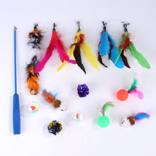 Load image into Gallery viewer, 11/14pcs Cat Teaser Wand with Replacement Pendant Pet Interactive Feather Toys Kitten Simulated Mouse Catching Toy Cats Daily Accessories