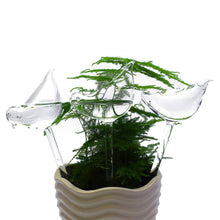 Load image into Gallery viewer, Automatic Flower Watering Device Plant Waterer Self Watering Globes Bird Shape Hand Blown ClearPlastic Aqua Bulbs