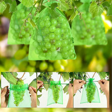 Load image into Gallery viewer, 20PCS Grape Fruit Protection Bags Garden Drawstring Netting Mesh Bags Anti-Bird For Plant Fruit Trees Organza Bags