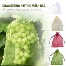 Load image into Gallery viewer, 20PCS Grape Fruit Protection Bags Garden Drawstring Netting Mesh Bags Anti-Bird For Plant Fruit Trees Organza Bags