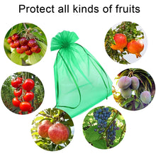 Load image into Gallery viewer, 20PCS Grape Fruit Protection Bags Garden Drawstring Netting Mesh Bags Anti-Bird For Plant Fruit Trees Organza Bags