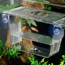 Load image into Gallery viewer, Double-Deck Clear Fish Breeding Isolation Box Aquarium Breeder Fish Tank Hatching Incubator Fish House Home