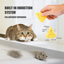 Load image into Gallery viewer, Wireless Electric Remote Control Rat Plush RC Mouse Toy Hot Flocking Simulation Toys Rat for Cat Dog Joke Scary Trick Toys