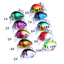 Load image into Gallery viewer, 3CM 1.8G Rock Little Fat Fish Luya Bait Bionic Mini Floating False Bait Fishing Accessories