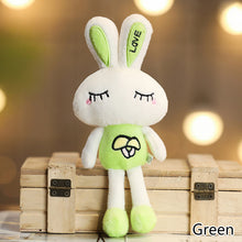 Load image into Gallery viewer, 1pc Love Rabbit Plush Toy Rabbits Stuffed Toys Key Chain Pendant Gifts for Children Kids Toy Wedding Gifts