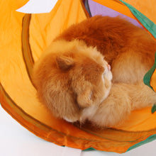 Load image into Gallery viewer, L Shape Practical Cat Tunnel Pet Tube Collapsible Play Toy Indoor Outdoor Kitty Puppy Toys for Puzzle Exercising Hiding Training Toy