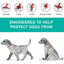 Load image into Gallery viewer, Retractable Pet Dog Antiparasitic Collar Dog Anti Flea Tick Collar For Small Large Dog Cat Lice Collars Deworming Collars Supplies