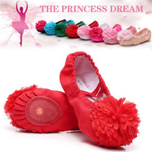Load image into Gallery viewer, Children's Dance Shoes Ballet Shoes Soft Sole Flower Dancing Practice Shoes Cat Claw Shoes