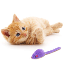 Load image into Gallery viewer, Furry Plush Cat Toy Soft Solid Interactive Mice Mouse Toys For Funny Kitten Pet Cats Playing Scratch Training Game Supplies