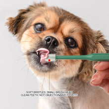 Load image into Gallery viewer, 360° Pet Oral Cleaning Toothbrush Dog Cat Dental Care Cleaning Brush Super Soft Nylon Bristles Tooth Brush Bad Breath Teeth Care Tool Tongue Brush