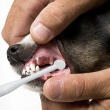 Load image into Gallery viewer, Super Soft Pet Oral Cleaning Toothbrush Dog Cat Dental Care Cleaning Brush PBT Bristles Tooth Brush Bad Breath Teeth Care Tool Tongue Brush