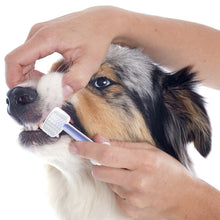 Load image into Gallery viewer, 3pcs/set Pet Oral Cleaning Toothbrush Dog Cat Dental Care Cleaning Brush Soft Silicone Tooth Brush Bad Breath Teeth Care Tool Tongue Brush