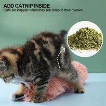 Load image into Gallery viewer, Cat Plush Strip Pillow with Catnip Caterpillar Shape Cat Teaser Toys Ringing Paper Pet Kitten Companion Toy