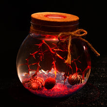 Load image into Gallery viewer, 11cm Round Glass Jar Terrarium with Colorful LED Light Cork
